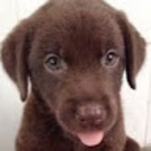 Meet your Posher, Cassandra